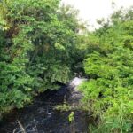 listing image thumbnail with ID 65018