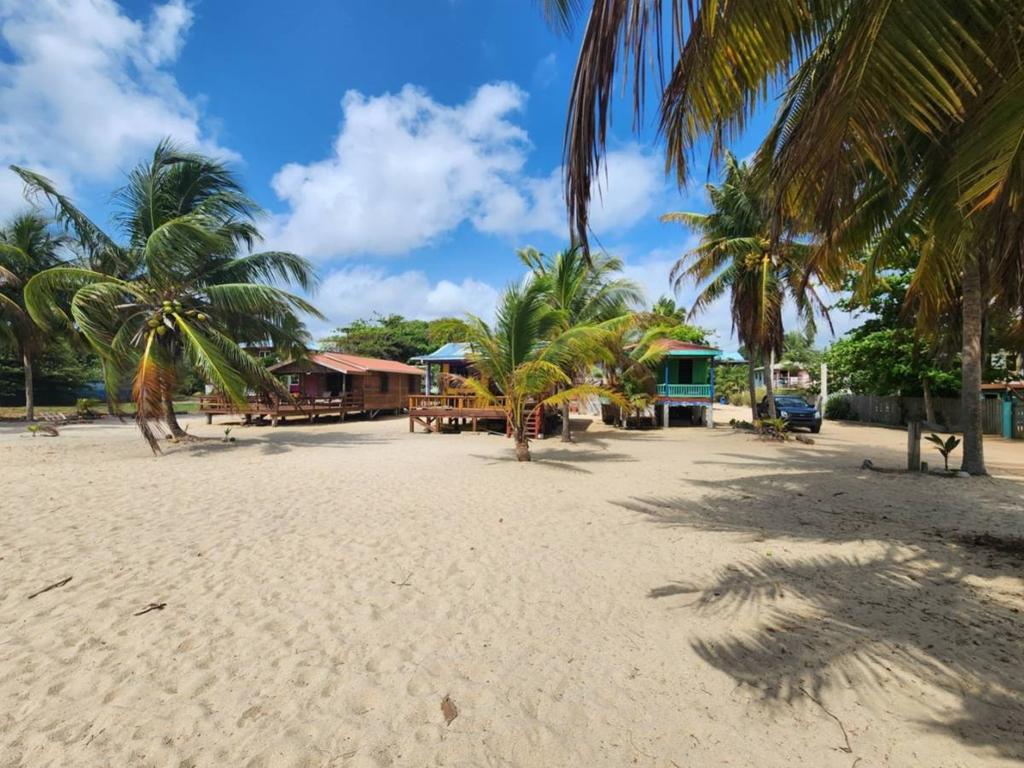 listing image with ID 65728