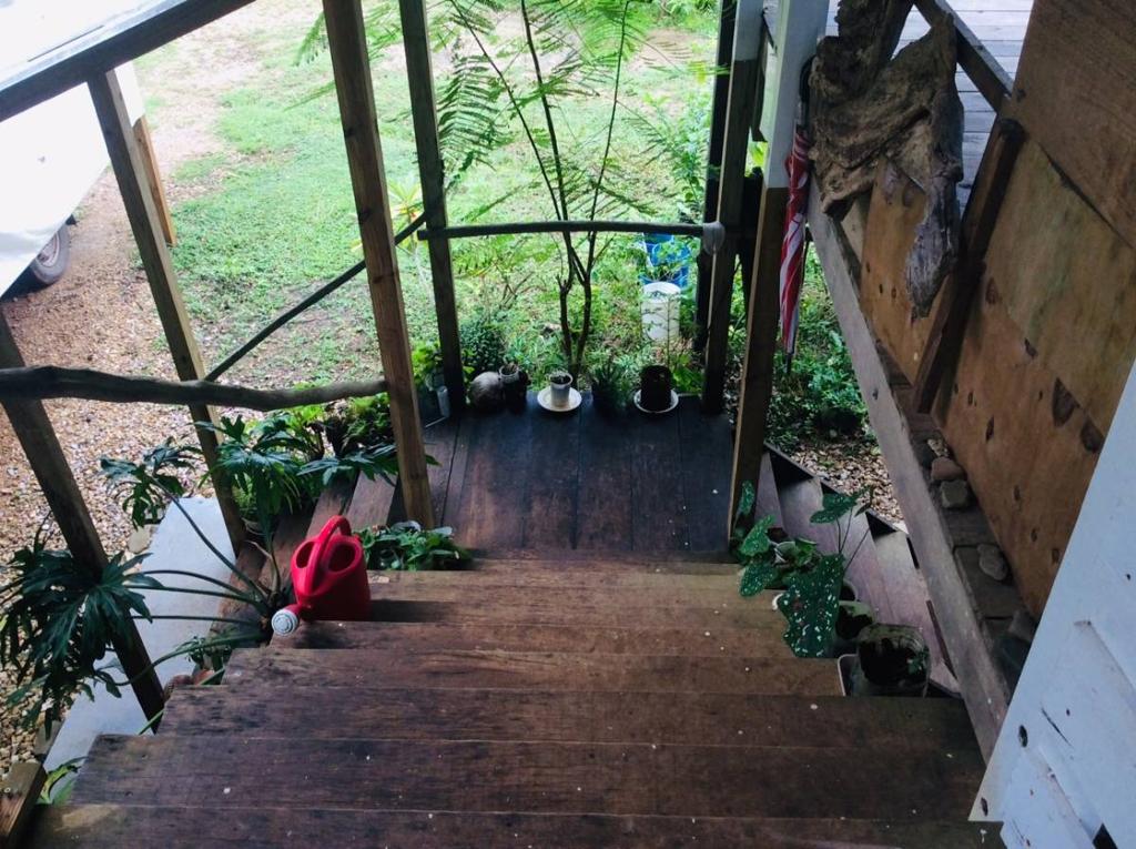 listing image with ID 67895