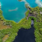 listing image thumbnail with ID 66860