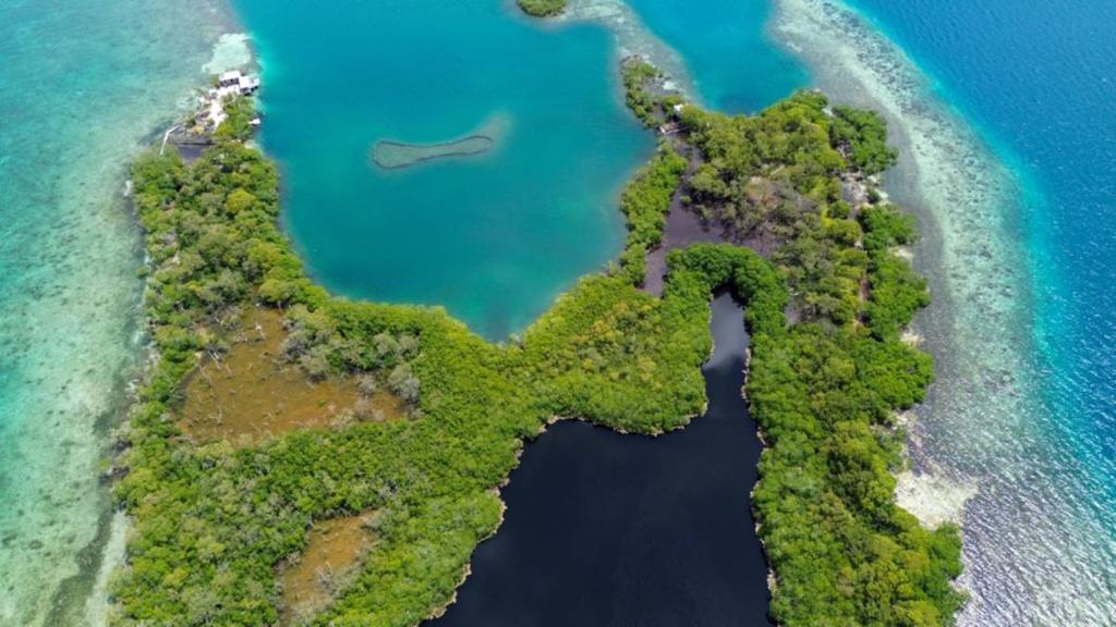 listing image with ID 66860