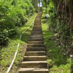 listing image thumbnail with ID 68264