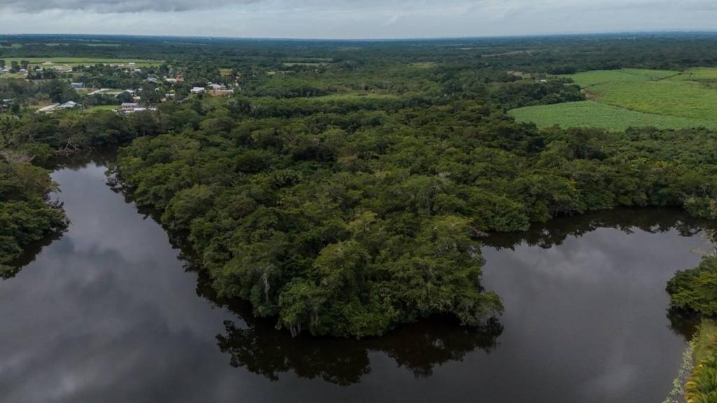 listing image with ID 68839