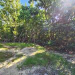 listing image thumbnail with ID 65964