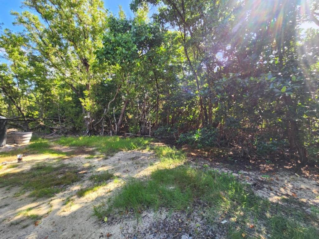 listing image with ID 65964