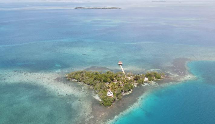 listing image with ID 68404