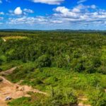 listing image thumbnail with ID 69121