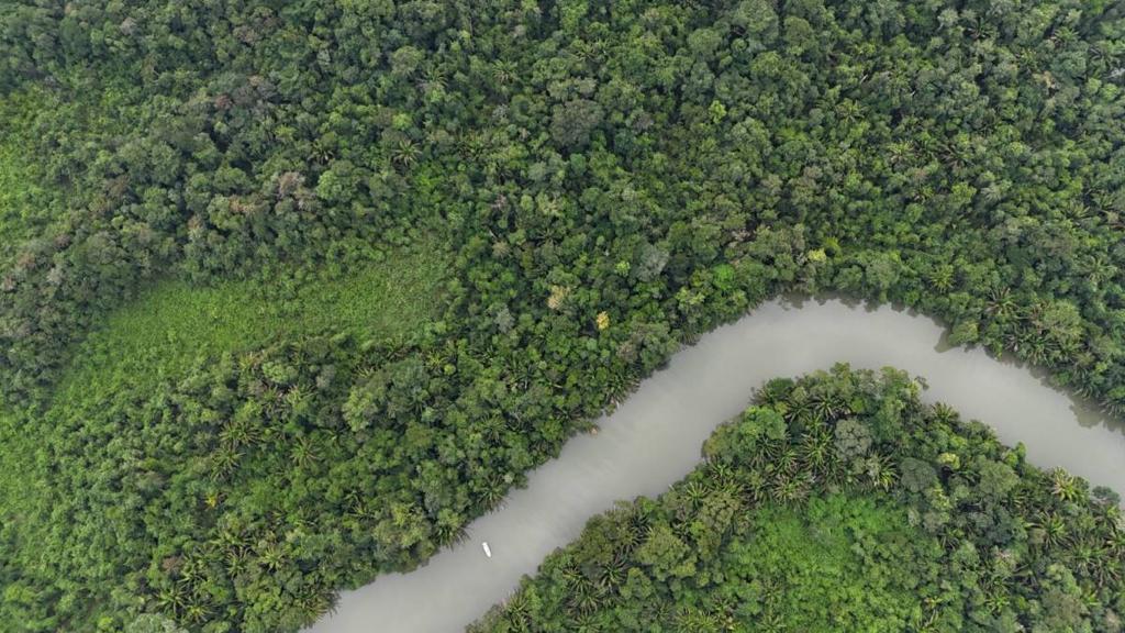 listing image with ID 65439