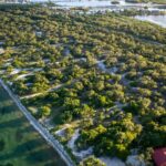 listing image thumbnail with ID 68733