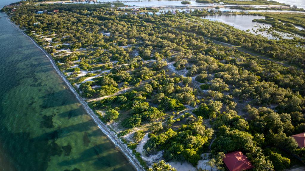 listing image with ID 68733