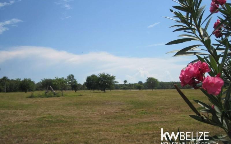 listing image with ID 69329