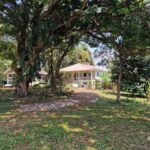 listing image thumbnail with ID 65585