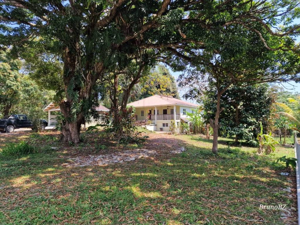 listing image with ID 65585