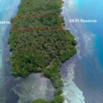 listing image thumbnail with ID 65072