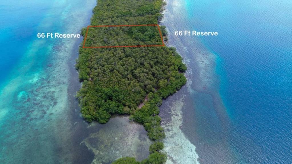 listing image with ID 65072