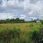 listing image thumbnail with ID 68246