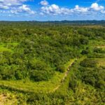 listing image thumbnail with ID 69115