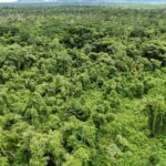 listing image thumbnail with ID 66657