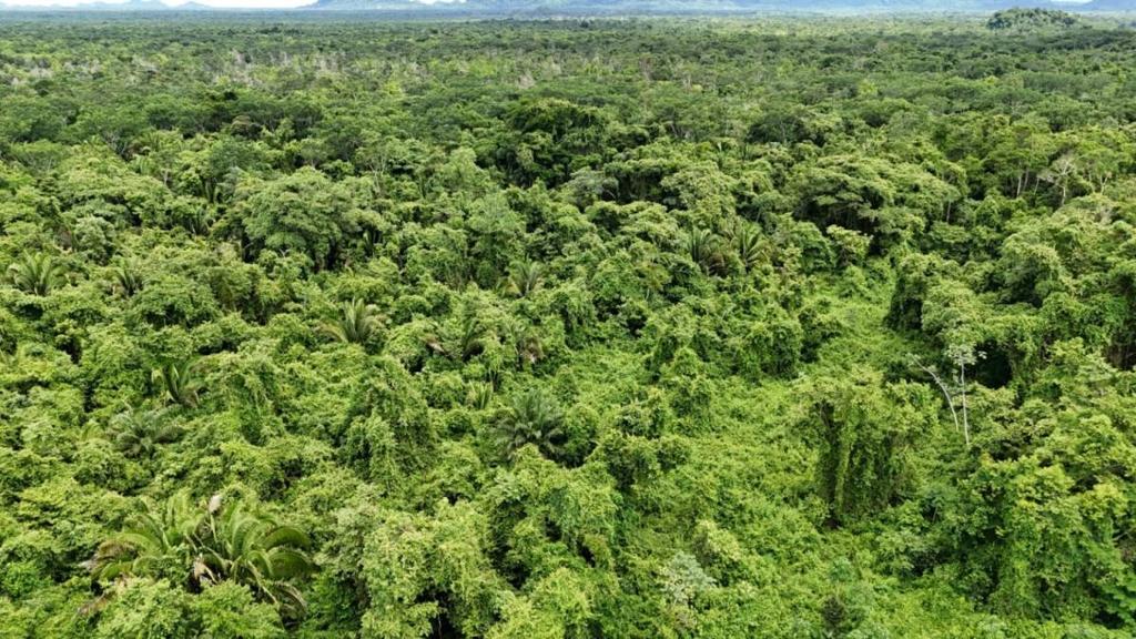 listing image with ID 66657