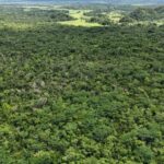 listing image thumbnail with ID 66664