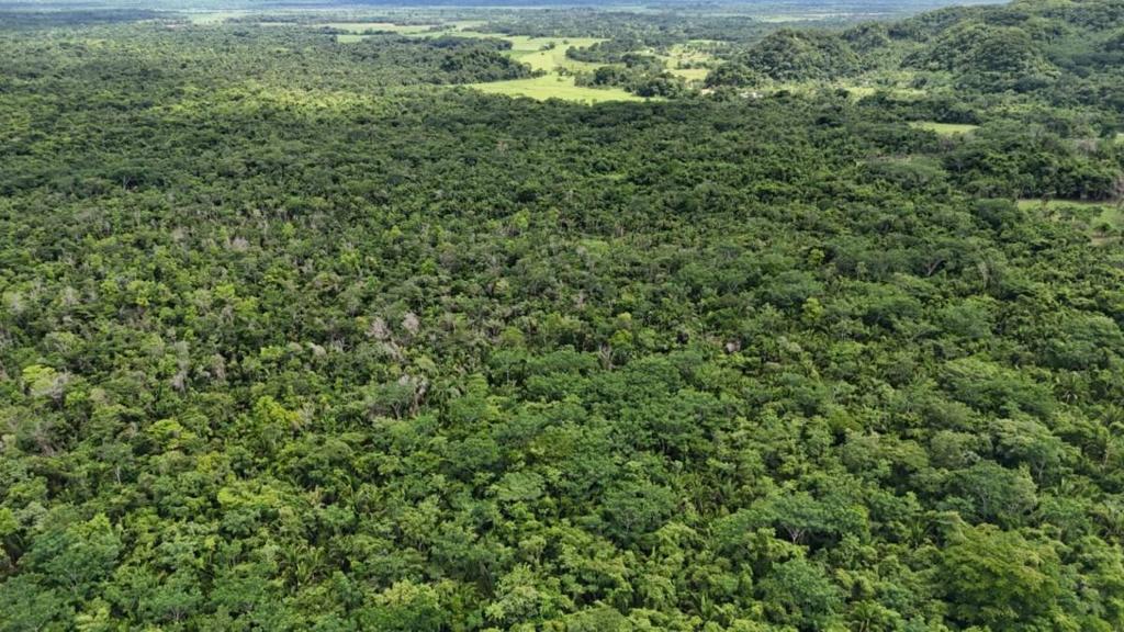 listing image with ID 66664