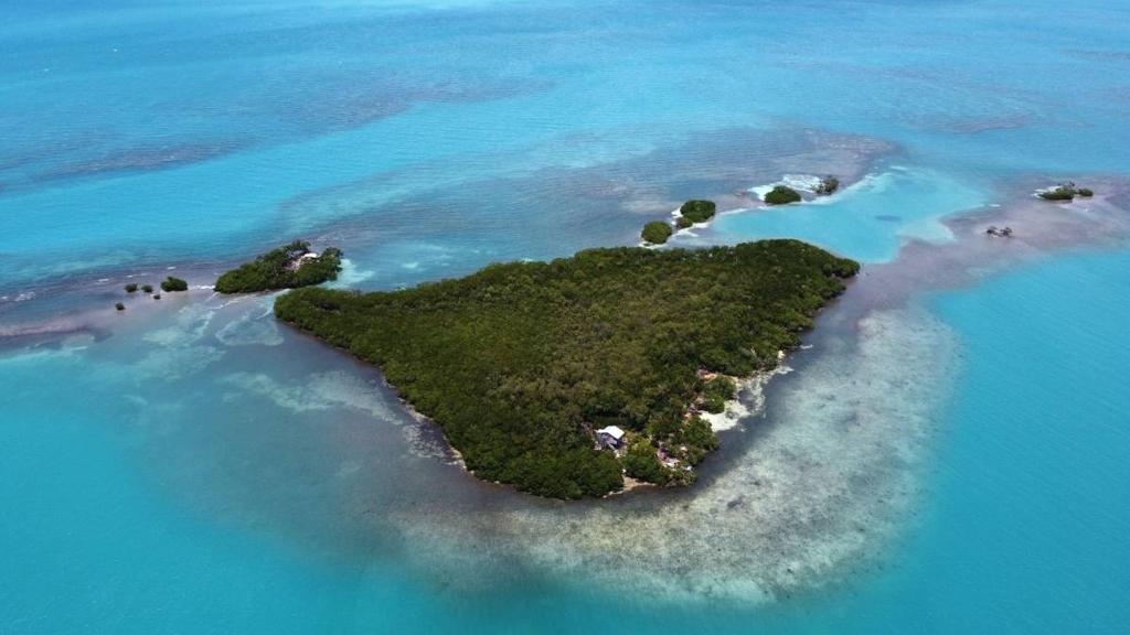 listing image with ID 65386