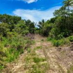 listing image thumbnail with ID 63843