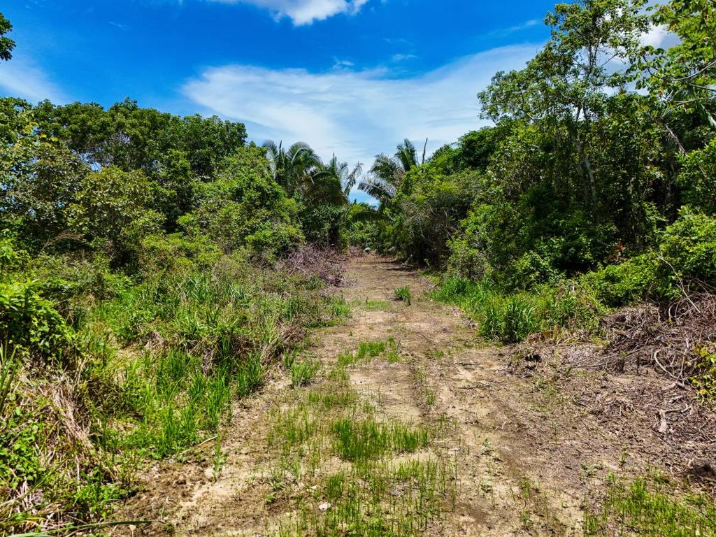 listing image with ID 63843