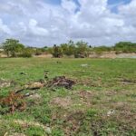 listing image thumbnail with ID 67222