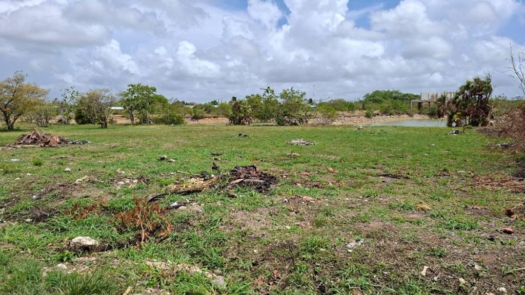 listing image with ID 67222