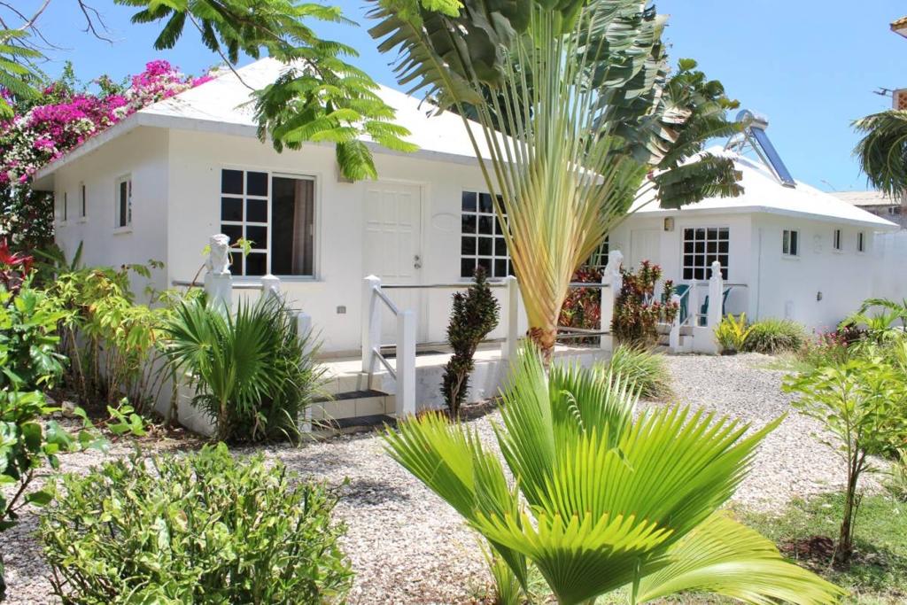 listing image with ID 67121