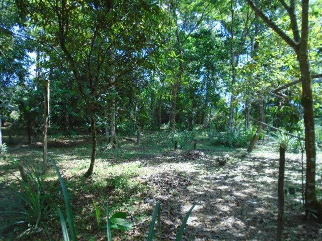 listing image with ID 64803