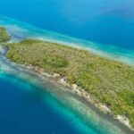 listing image thumbnail with ID 65853