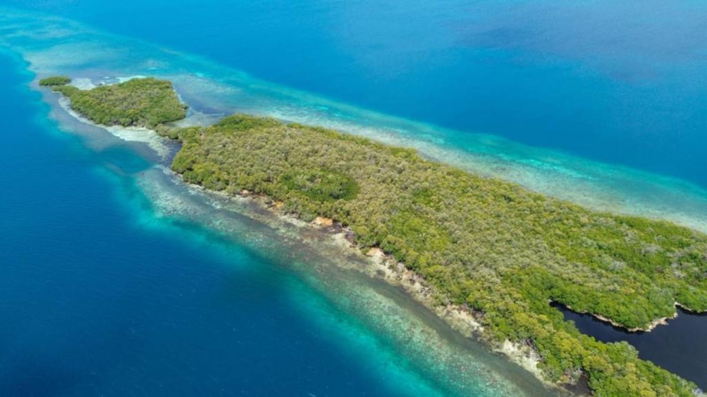 listing image with ID 65853