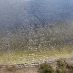 listing image thumbnail with ID 68990