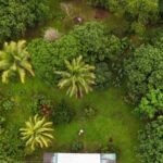 listing image thumbnail with ID 65268