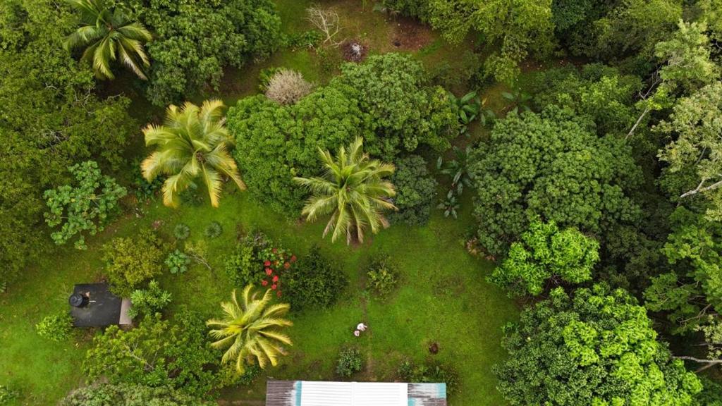 listing image with ID 65268