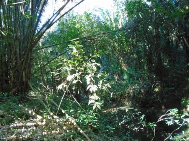 listing image with ID 64077