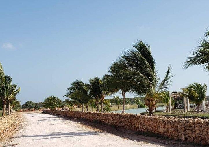 listing image with ID 67973