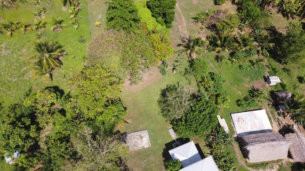 listing image with ID 63834