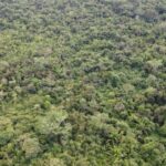 listing image thumbnail with ID 66581