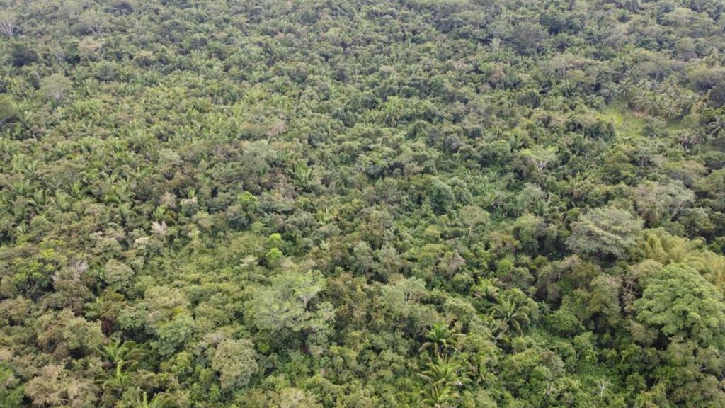 listing image with ID 66581