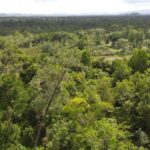 listing image thumbnail with ID 63942