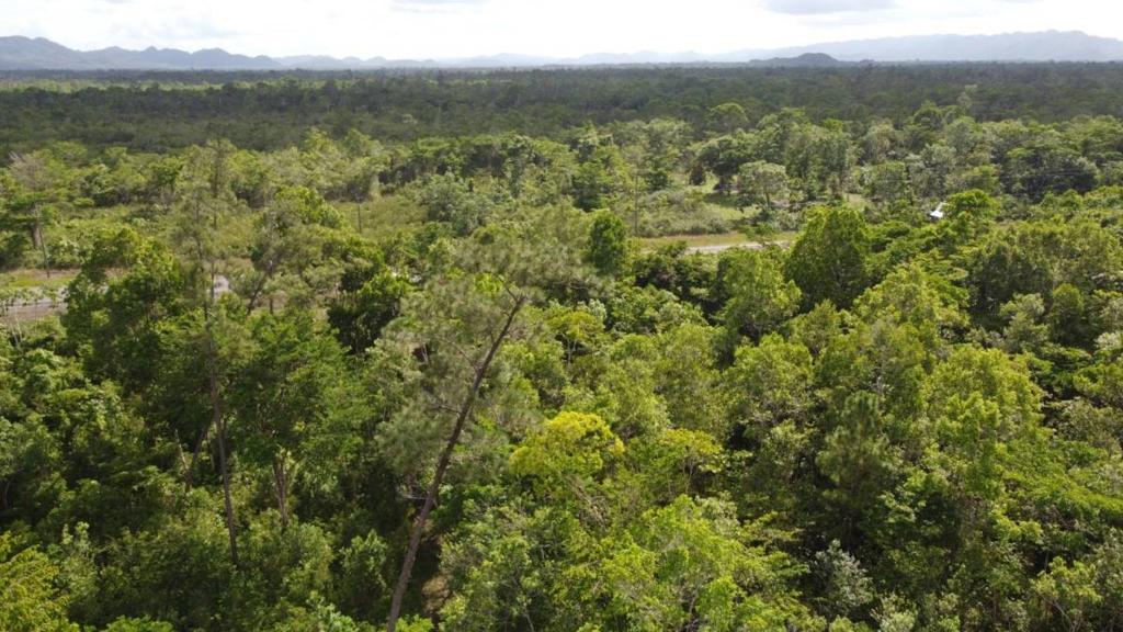 listing image with ID 63942