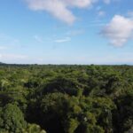 listing image thumbnail with ID 65543