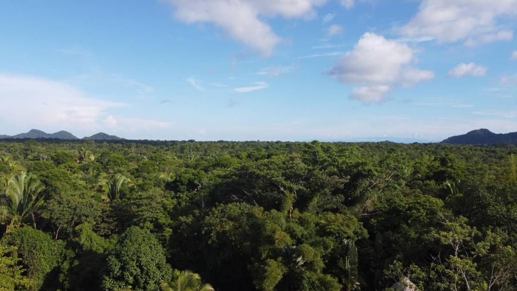 listing image with ID 65543