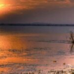 listing image thumbnail with ID 67463