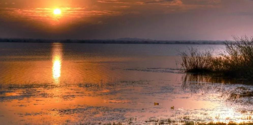 listing image with ID 67463