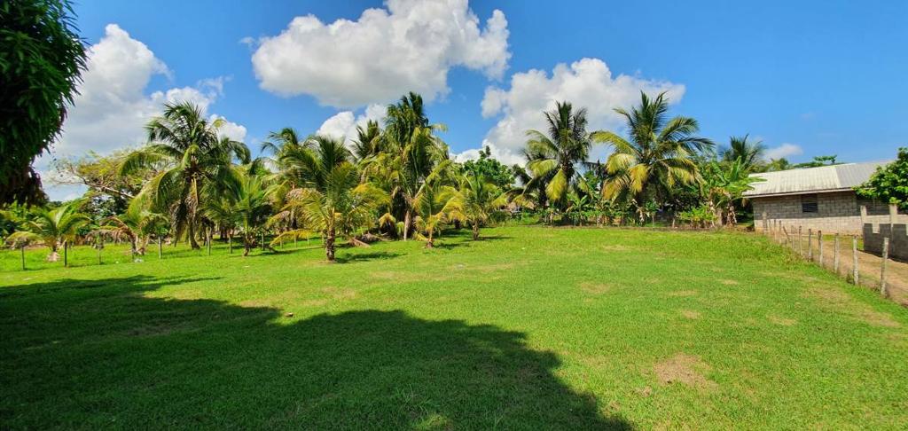 listing image with ID 63817