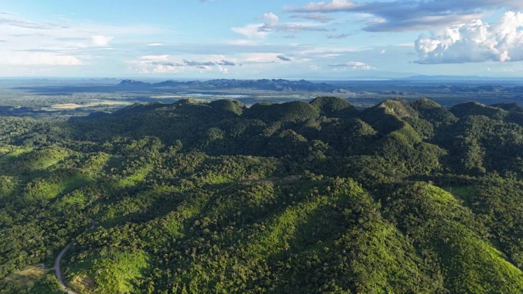 listing image with ID 66897